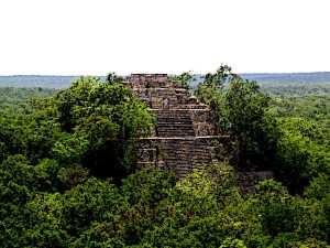 Calakmul City