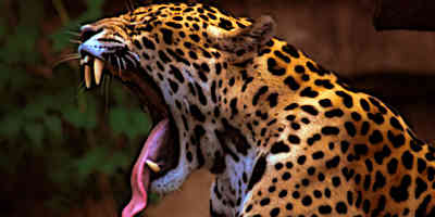 Jaguar Goddess