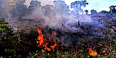 Mayan Collapse